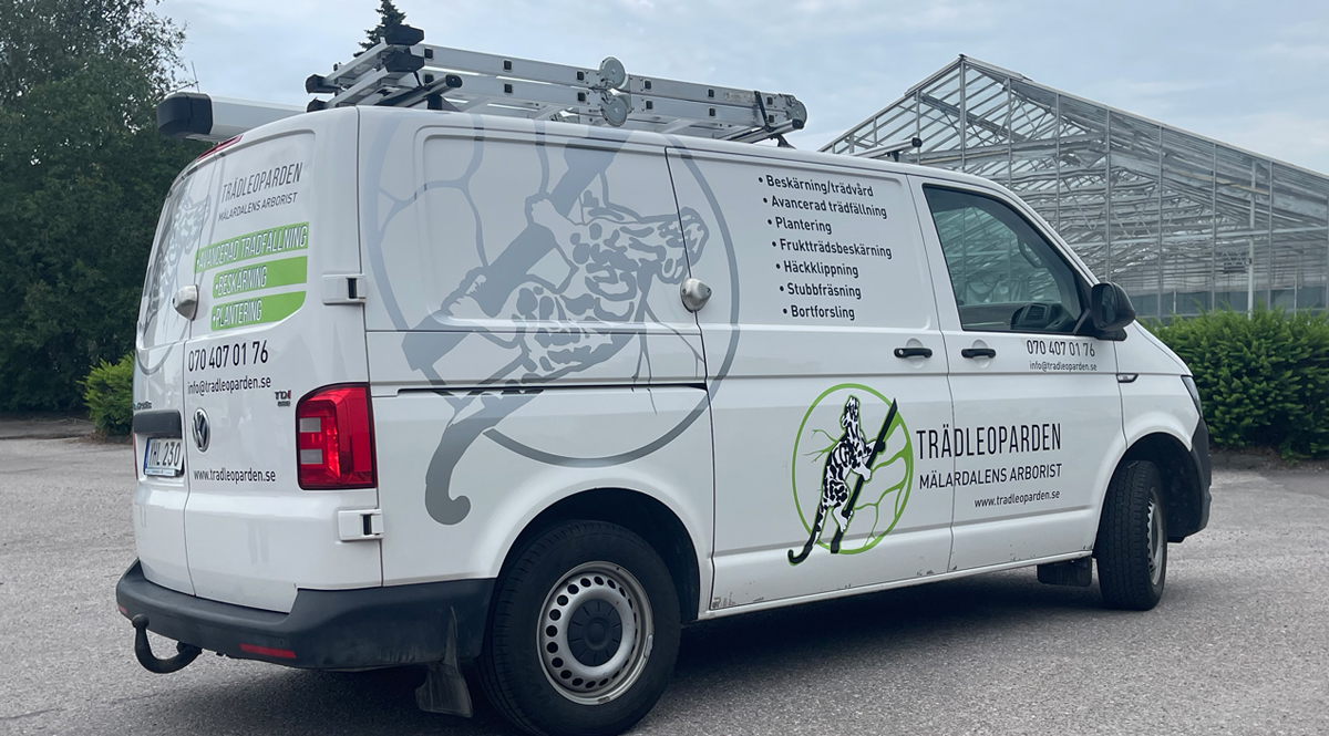 Bildekor Snöleoparden