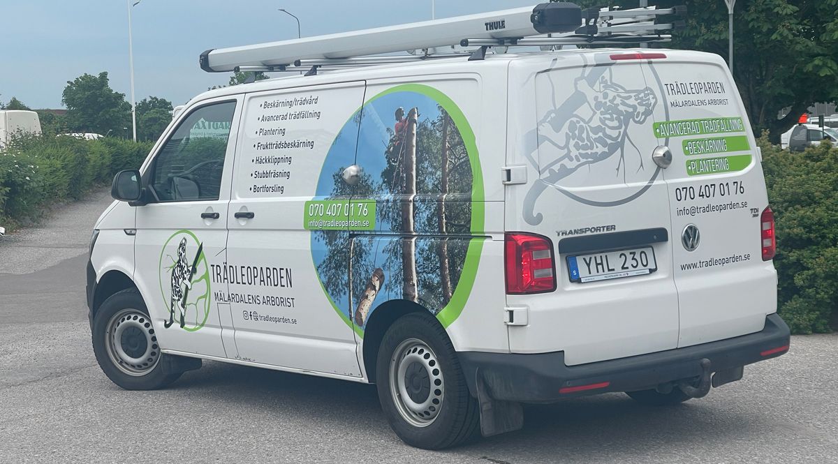 Bildekor Snöleoparden